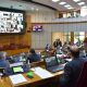 Cámara de Senadores. Foto: Senado.