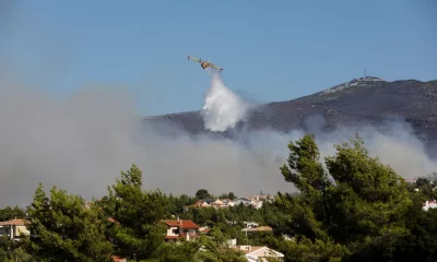 Un avión Canadair lanza agua mientras arde un incendio forestal en el suburbio de Pikermi en Atenas, Grecia. Foto: Infobae