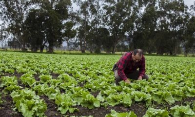 Empresa agrícola. Foto: Gentileza