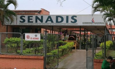 Senadis. Foto: Gentileza.