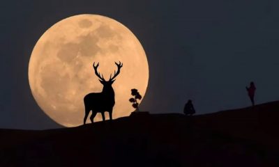 Superluna del Ciervo se verá este miércoles 13 de julio. Foto: El Mundo.