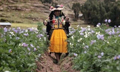 "Sembradoras de vida", filme premiado en el anterior festival, que retrata la vida de cinco mujeres del altiplano andino. Cortesía