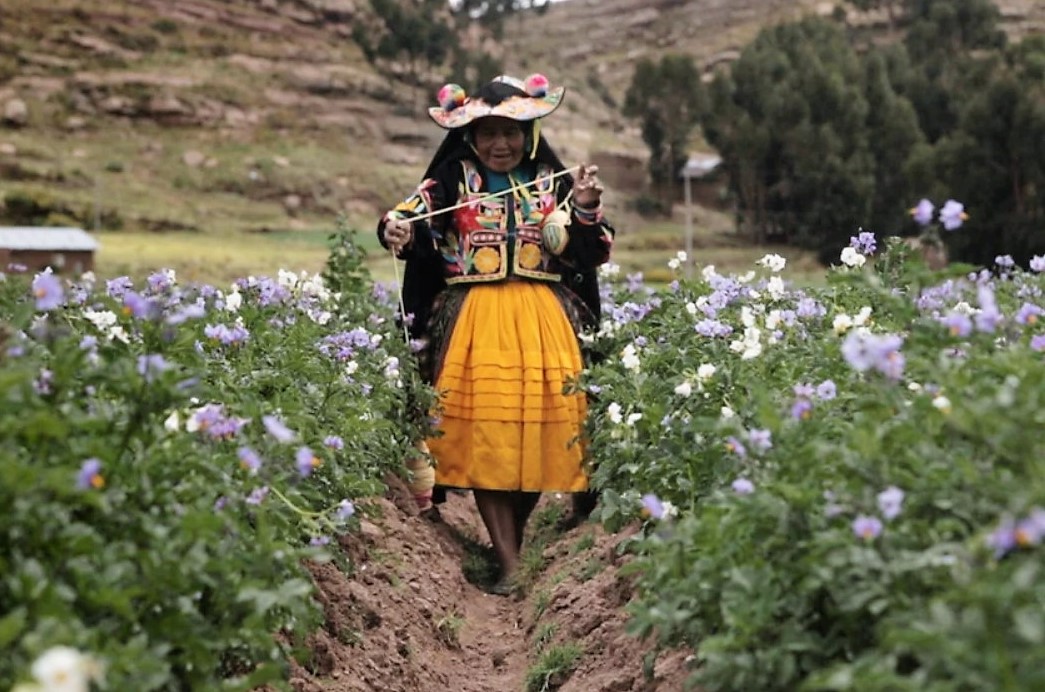 "Sembradoras de vida", filme premiado en el anterior festival, que retrata la vida de cinco mujeres del altiplano andino. Cortesía