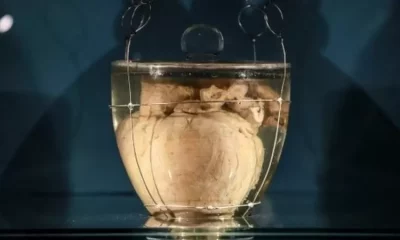 El corazón de Pedro I ha estado expuesto en la Sala Noble de la Hermandad de Lapa, en Oporto. Foto: BBC Mundo