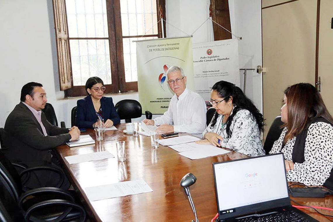 Comisión de Pueblos Indígenas, presidida por la diputada Marlene Ocampos. Foto: @Doputadospy