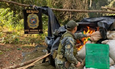 El operativo fue concretado tras una incursión realizada en la Reserva Morombí, departamento de Canindeyú. Gentileza