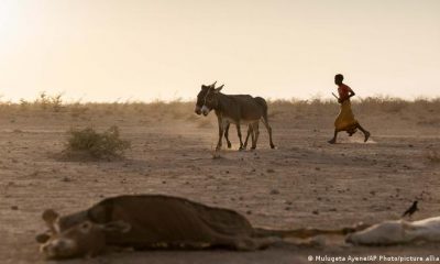 Sequía y terrenos desérticos en Somalia, en el Cuerno de África. Foto: DW.
