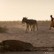 Sequía y terrenos desérticos en Somalia, en el Cuerno de África. Foto: DW.