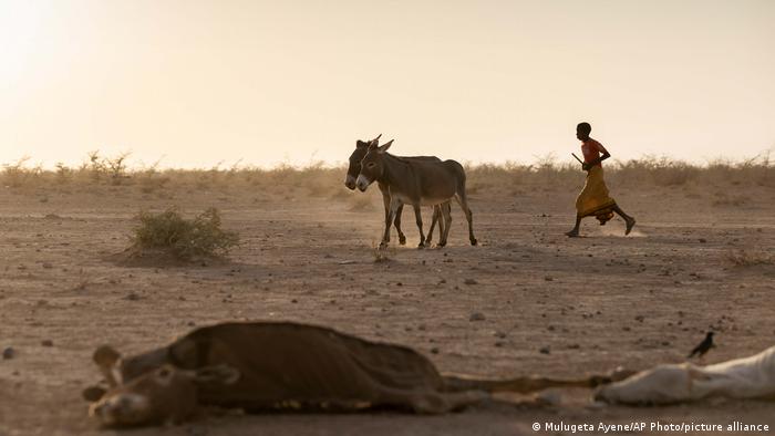 Sequía y terrenos desérticos en Somalia, en el Cuerno de África. Foto: DW.