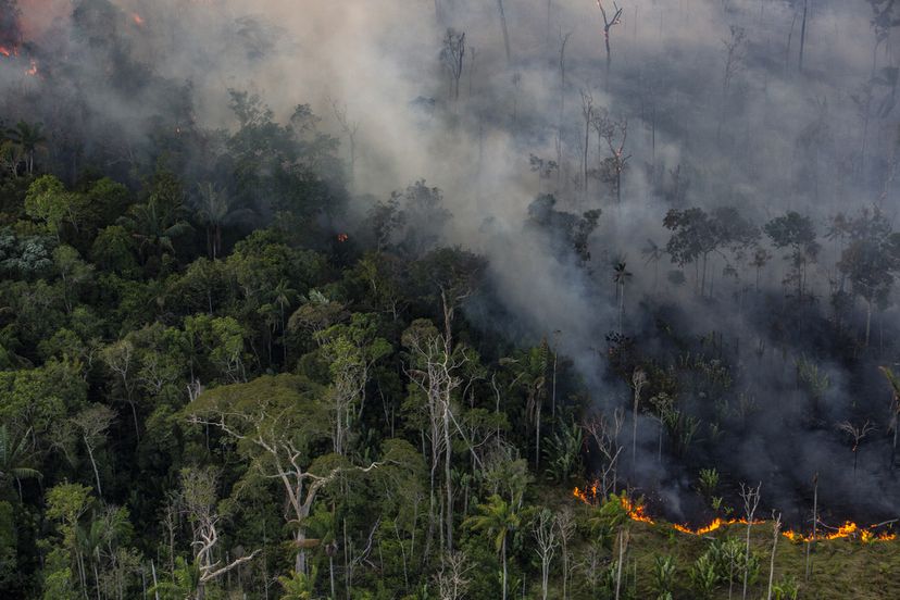 Un incendio forestal cerca de la ciudad de Porto Velho, en el Estado de Rondônia. Foto: El País