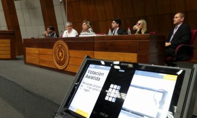 Durante la audiencia sobre el voto accesible que se llevó adelante en el Senado. Foto: TSJE