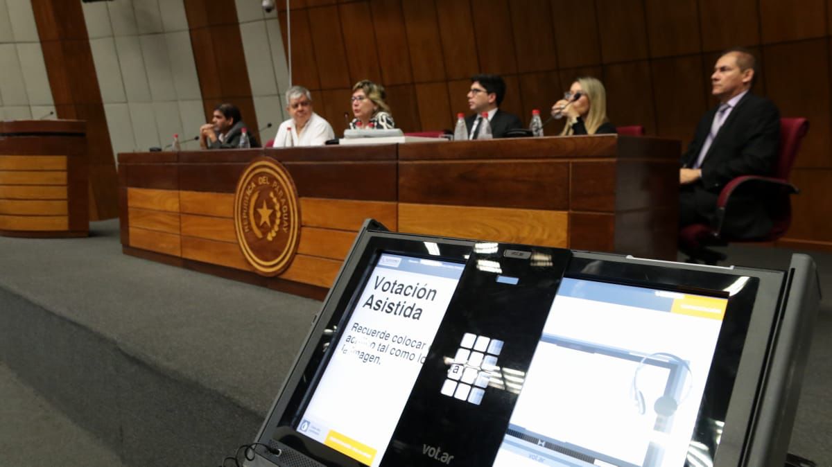 Durante la audiencia sobre el voto accesible que se llevó adelante en el Senado. Foto: TSJE