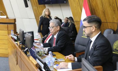 Sesión en la Cámara de Diputados. Foto: Gentileza