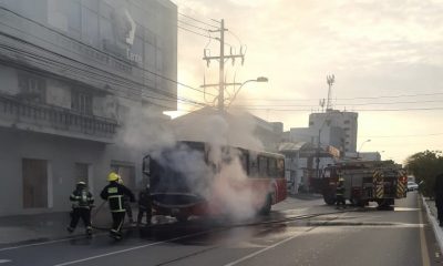 El colectivo se incendió sobre Eusebio Ayala. Foto: PMT