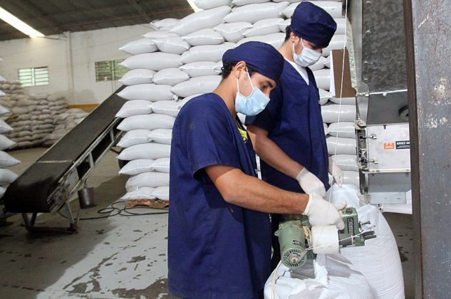 Exportadora de granos de chía en Paraguay. Foto ilustrativa