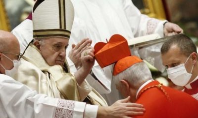 Nuevos cardenales. Foto: OK