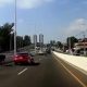 Vacas sueltas en el viaducto. Foto: Captura de video