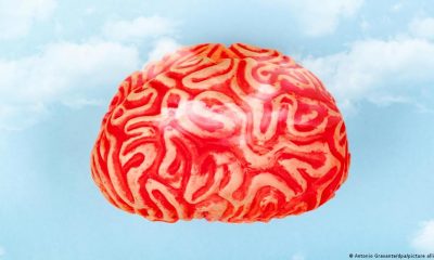 Lo llamamos 'el' cerebro. ¿Pero es un cerebro femenino o masculino?. Foto: DW.