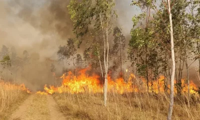 Advierten que estamos entrando en temporada alta de incendios forestales. Foto: Bomberos de Paraguarí