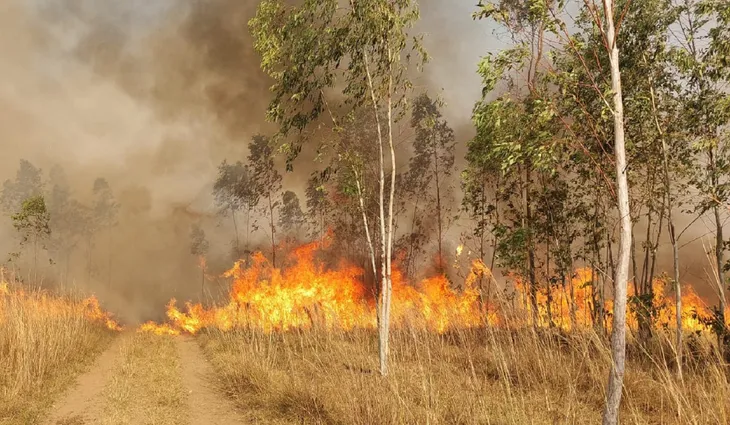 Advierten que estamos entrando en temporada alta de incendios forestales. Foto: Bomberos de Paraguarí.