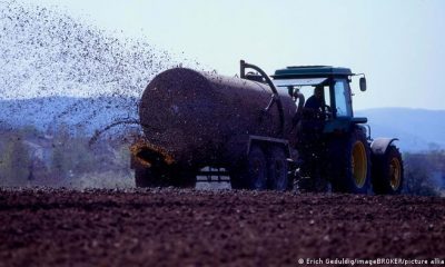 "En el momento en que Rusia atacó a Ucrania el mundo se dio cuenta que los productos agrícolas ucranianos son esenciales", dice Barrell. Foto: DW.