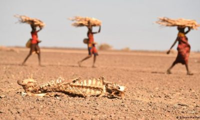 Las sequías son solo uno de los elementos que han propiciado la crisis alimentaria. Foto: DW
