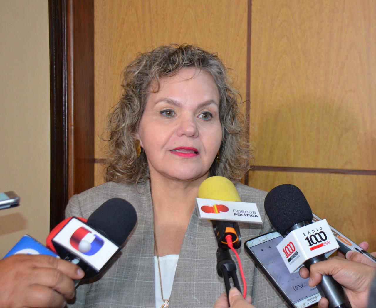 Senadora Lilian Samaniego. Foto: Senado.