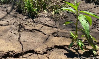 Los largos periodos de sequía pueden provocar la erosión del suelo. Foto: DW