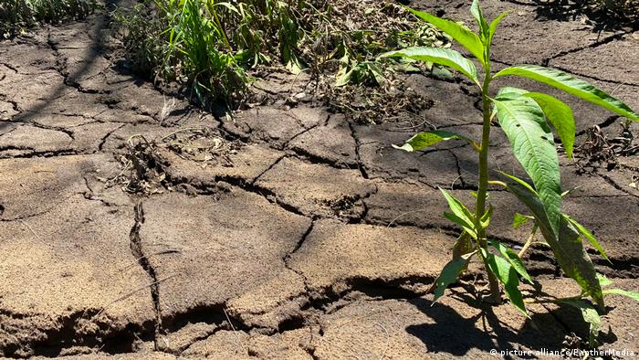 Los largos periodos de sequía pueden provocar la erosión del suelo. Foto: DW