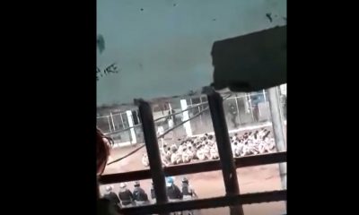 Captura de video donde se ve a los presos en ropa interior y sentados en el predio de la cárcel. Gentileza.