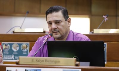 Senador Enrique Salyn Buzarquis. Foto: Senado.