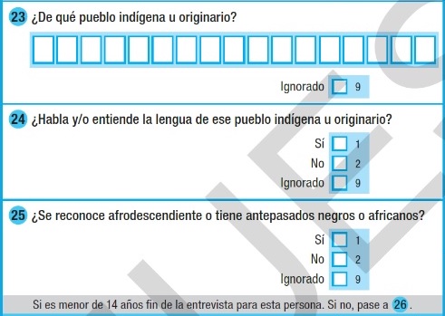 Argentina, Instituto Nacional de Estadísticas y Censos: Censo Nacional de Población, Hogares y Viviendas 2002