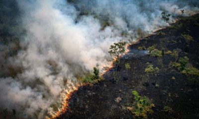 Vista aérea de un área quemada en la selva amazónica, cerca de la Reserva Extractiva Lago do Cunia, en la frontera de los estados de Rondonia y Amazonas, al norte de Brasil, el 31 de agosto de 2022. Foto: El País