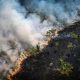 Vista aérea de un área quemada en la selva amazónica, cerca de la Reserva Extractiva Lago do Cunia, en la frontera de los estados de Rondonia y Amazonas, al norte de Brasil, el 31 de agosto de 2022. Foto: El País