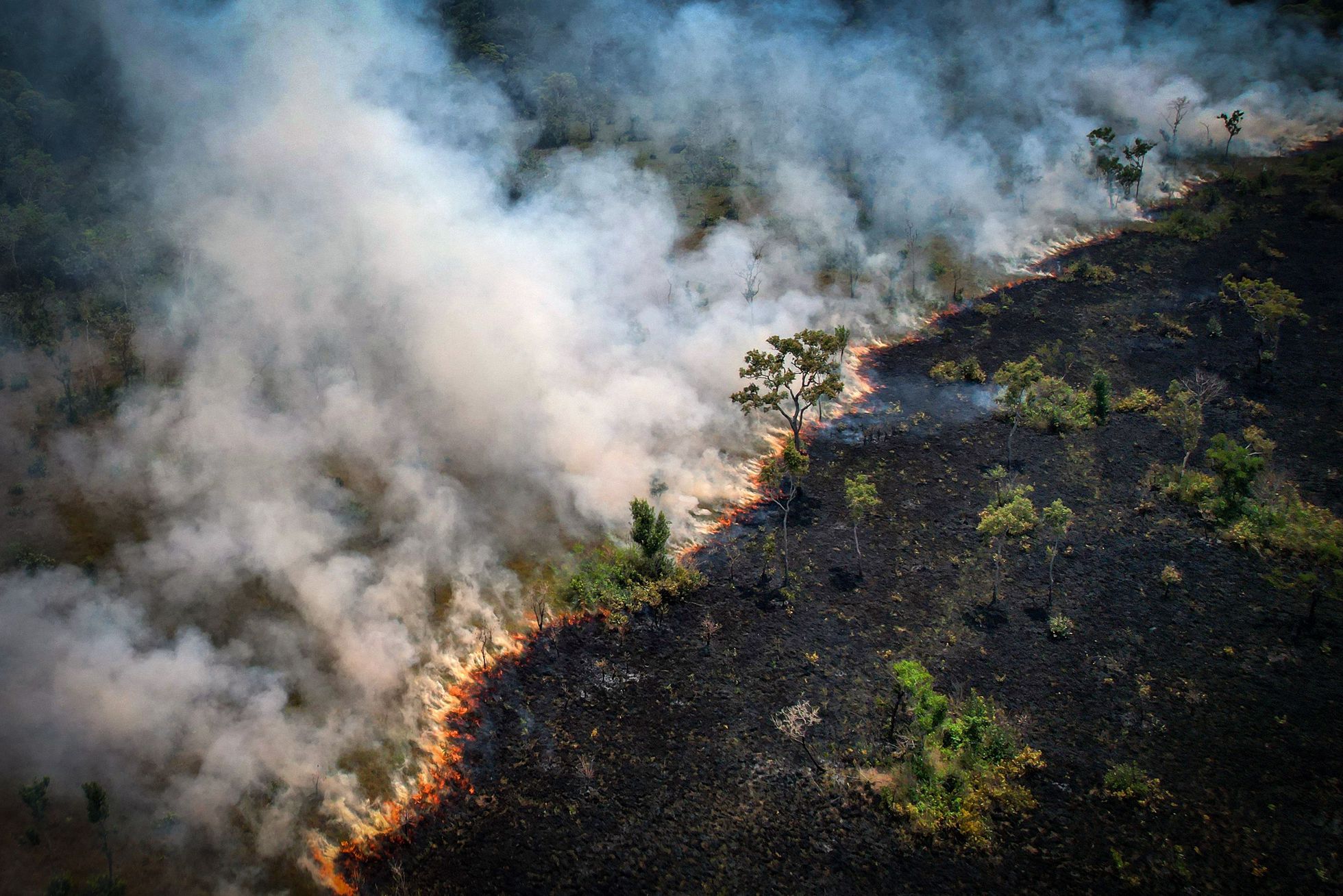 Vista aérea de un área quemada en la selva amazónica, cerca de la Reserva Extractiva Lago do Cunia, en la frontera de los estados de Rondonia y Amazonas, al norte de Brasil, el 31 de agosto de 2022. Foto: El País