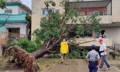 Vista de árboles caídos en una calle tras el paso del Huracán Ian hoy, en la Habana (Cuba). Foto:El País.