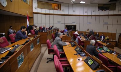 Sesión en la Cámara de Senadores. Foto: Senado.