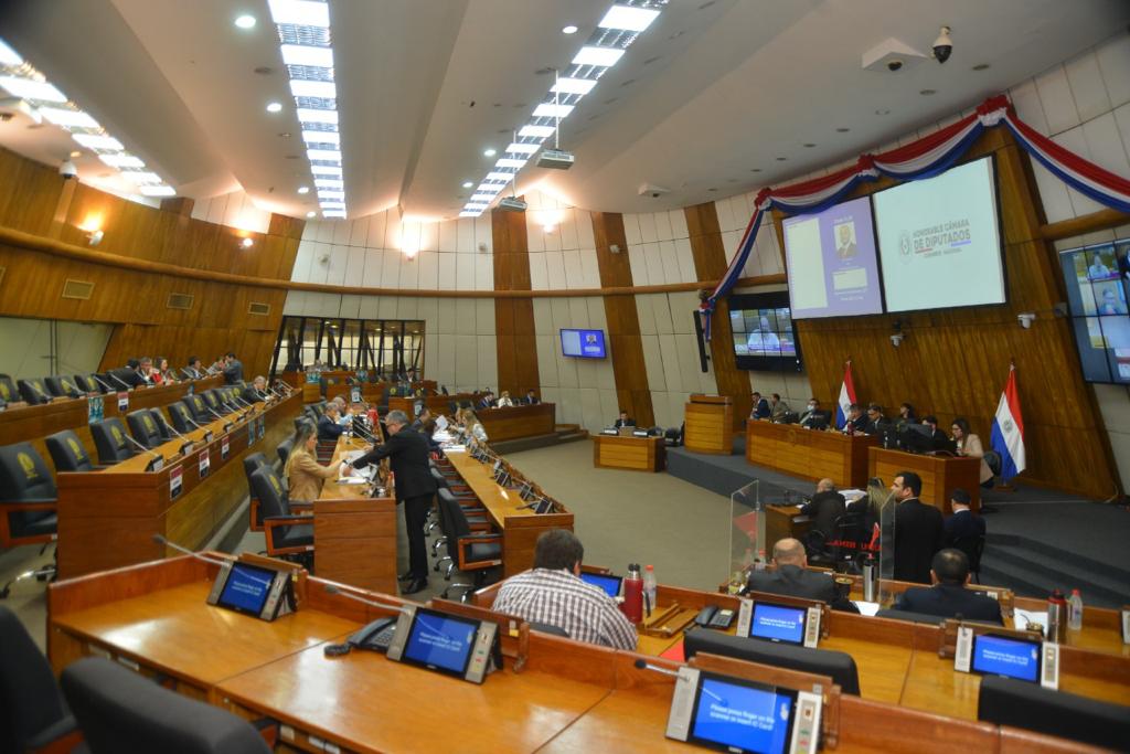 Sesión en la Cámara de Diputados. Gentileza