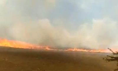 Tremendo es el fuego que se registra al costado de la ruta Luque-San Bernardino. (Captura vídeo)