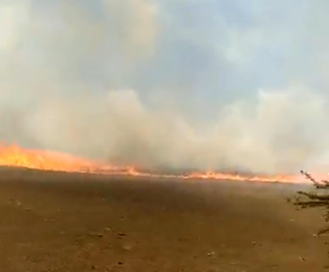 Tremendo es el fuego que se registra al costado de la ruta Luque-San Bernardino. (Captura vídeo)