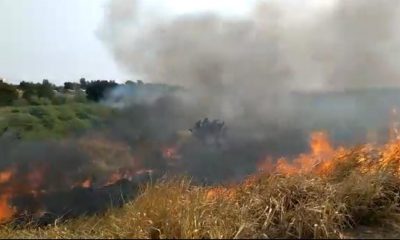 Así se encuentran las llamas en la zona de la Costanera Norte de Asunción. Foto: Captura video.