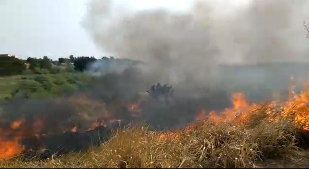 Así se encuentran las llamas en la zona de la Costanera Norte de Asunción. Foto: Captura video.