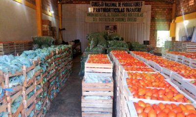 Productores frutihortícolas desde hace tiempo piden medidas para frenar el contrabando. Foto: Archivo