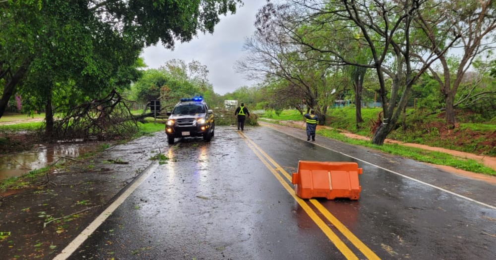 Árboles caídos bloquean el tránsito en zona del tramo Ypacaraí - Pirayú. Foto: Patrulla Caminera.