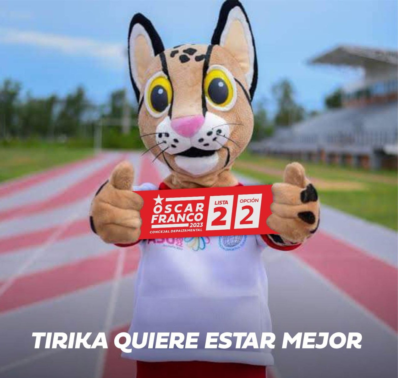 Ante la popularidad de la mascota de los Juegos Odesur, es utilizado como campaña política. Foto: Gentileza.