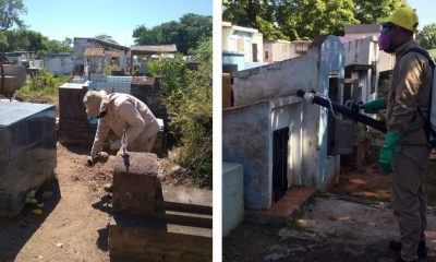 Desde Senepa comenzaron a intensificar las acciones de vigilancia y control del vector Aedes aegypti en los cementerios. Foto: Senepa