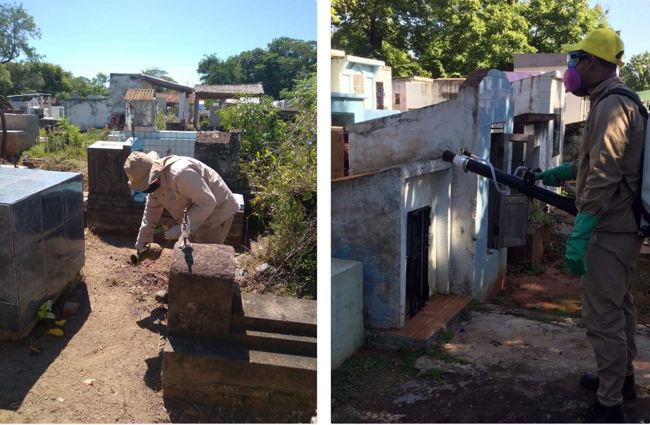 Desde Senepa comenzaron a intensificar las acciones de vigilancia y control del vector Aedes aegypti en los cementerios. Foto: Senepa