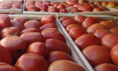 Productos frutihortícolas que ingresan de contrabando. Foto: Gentileza.