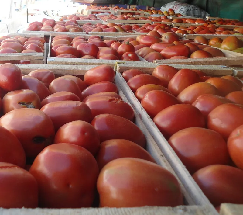 Productos frutihortícolas que ingresan de contrabando. Foto: Gentileza.