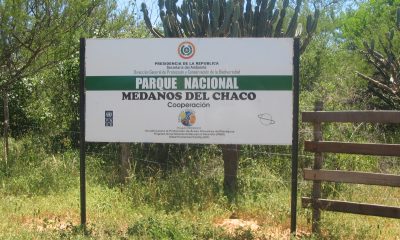 Parque Nacional Médanos del Chaco. Foto: Alberto Yanosky